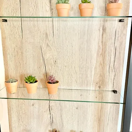 El Carbayonin Apartman Oviedo