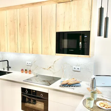 Apartamento El Carbayonin *