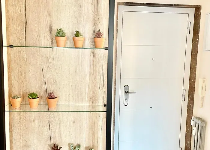 El Carbayonin * Oviédo